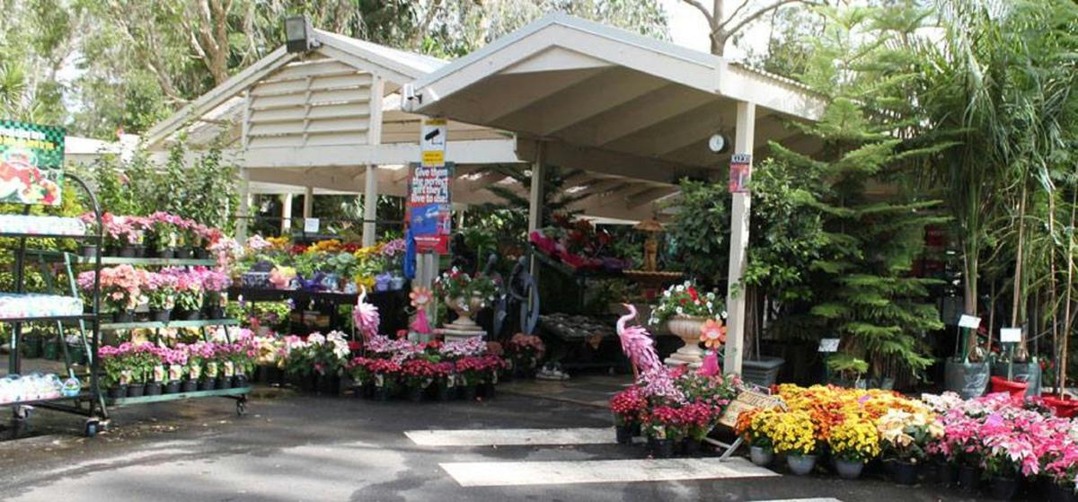 Pohlman's Nursery