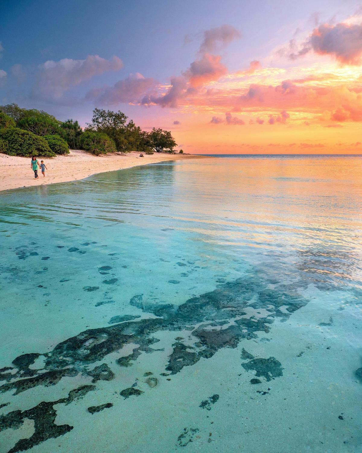 Baby Turtle Photography Expedition on Heron Island