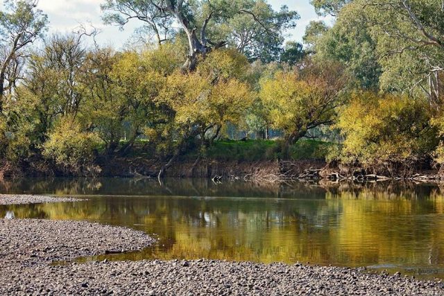 Mungabareena Reserve and Water Works