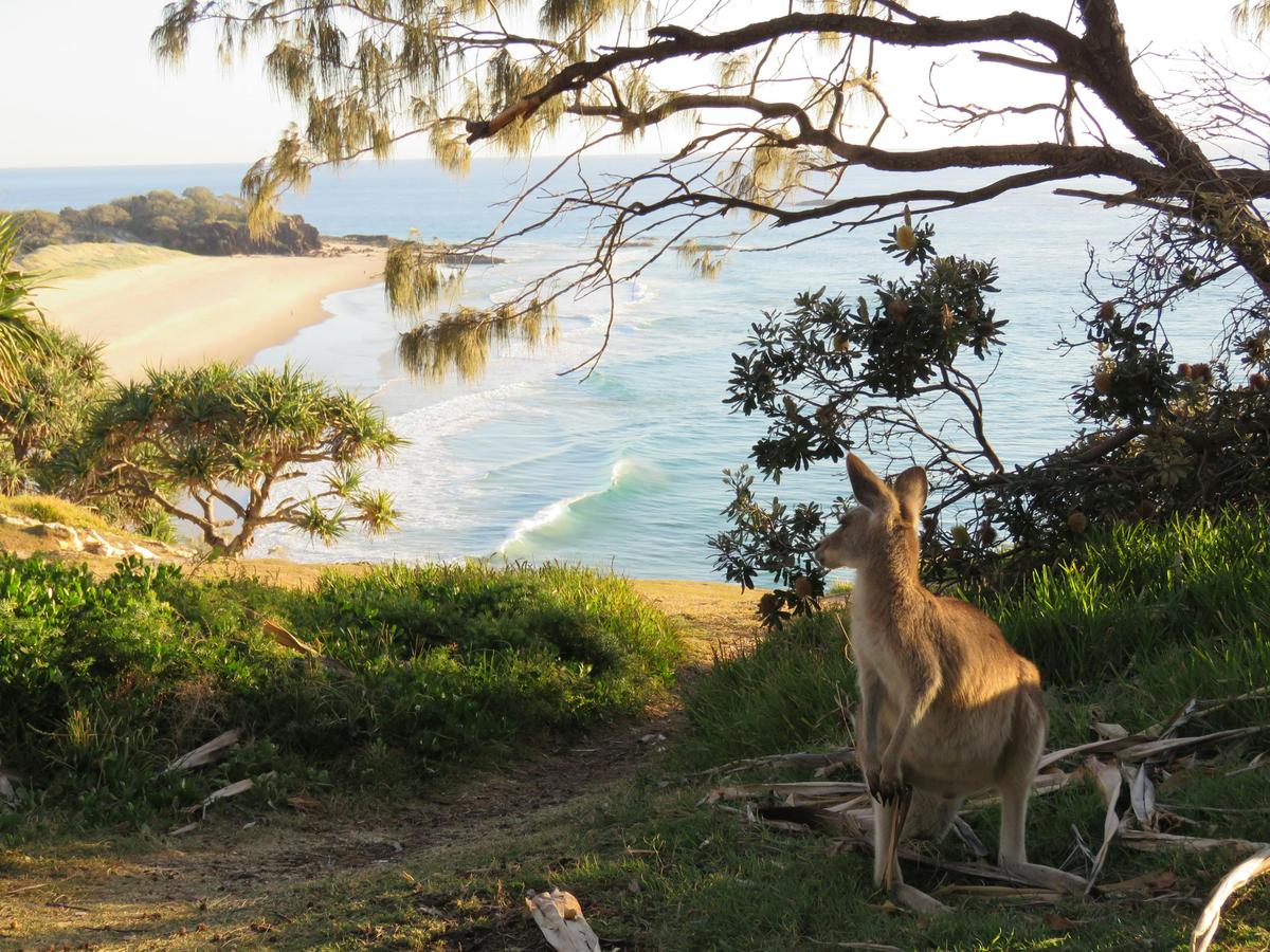 The Cultural Heritage and Art of North Stradbroke Island (Minjerribah) Tour