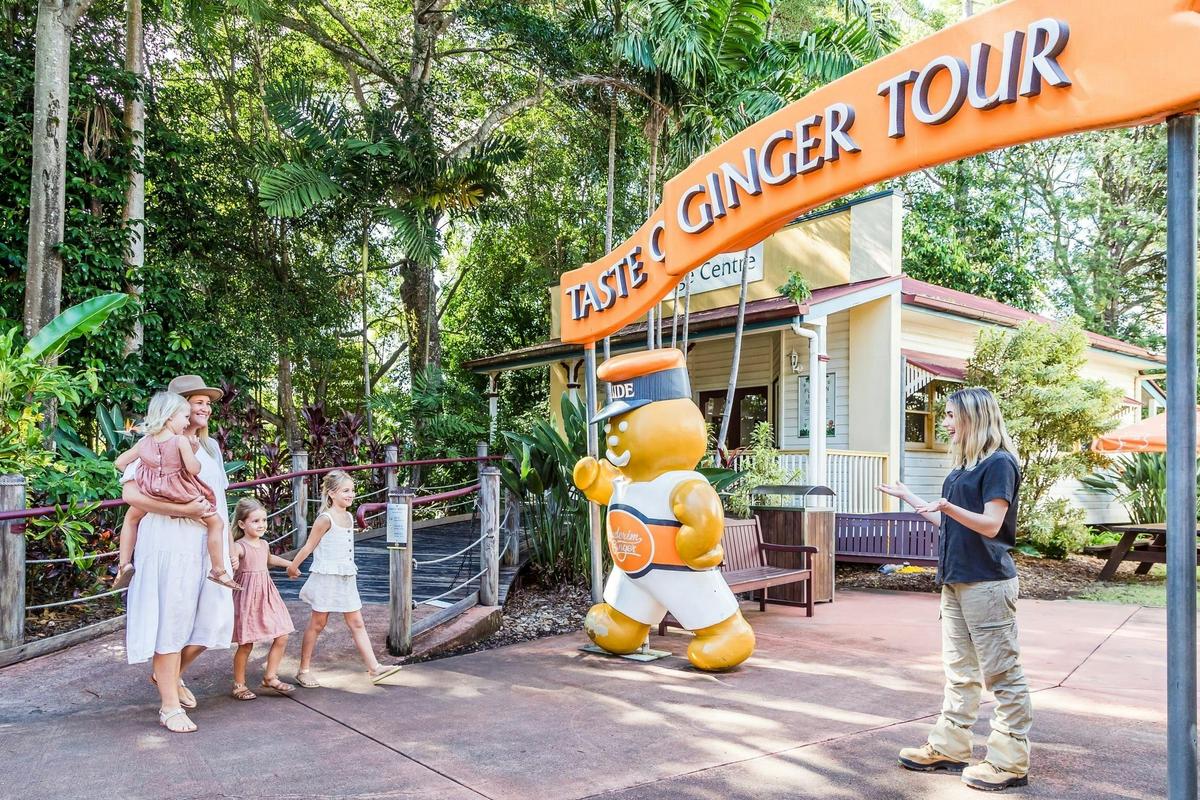 Sunshine Coast Hinterland Tour - Ginger Factory, Nutworks Chocolates Factory & Montville