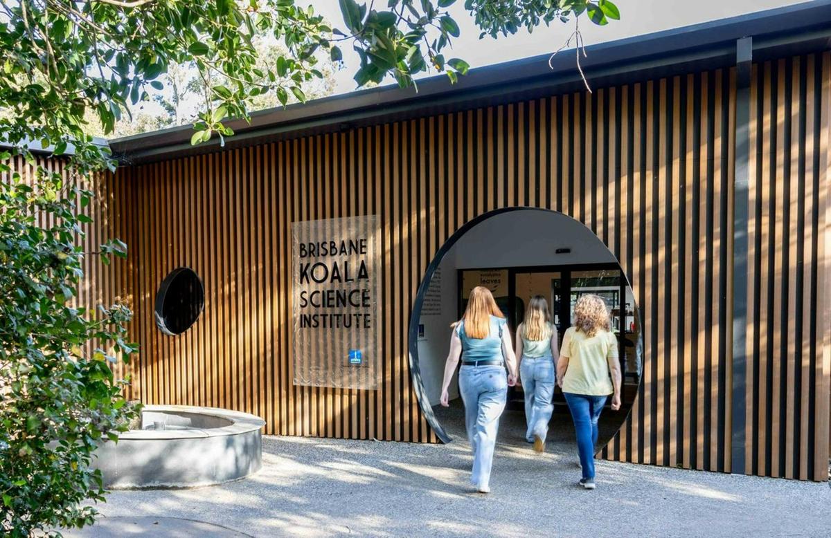 6 Hour Brisbane Private Tour: Lone Pine Koala Sanctuary, Mt. Coot-tha, Queen Street Mall etc.