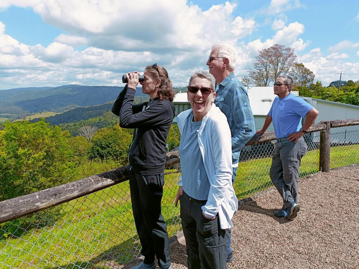 Sunshine Coast Hinterland Tour - Ginger Factory, Nutworks Chocolates Factory & Montville