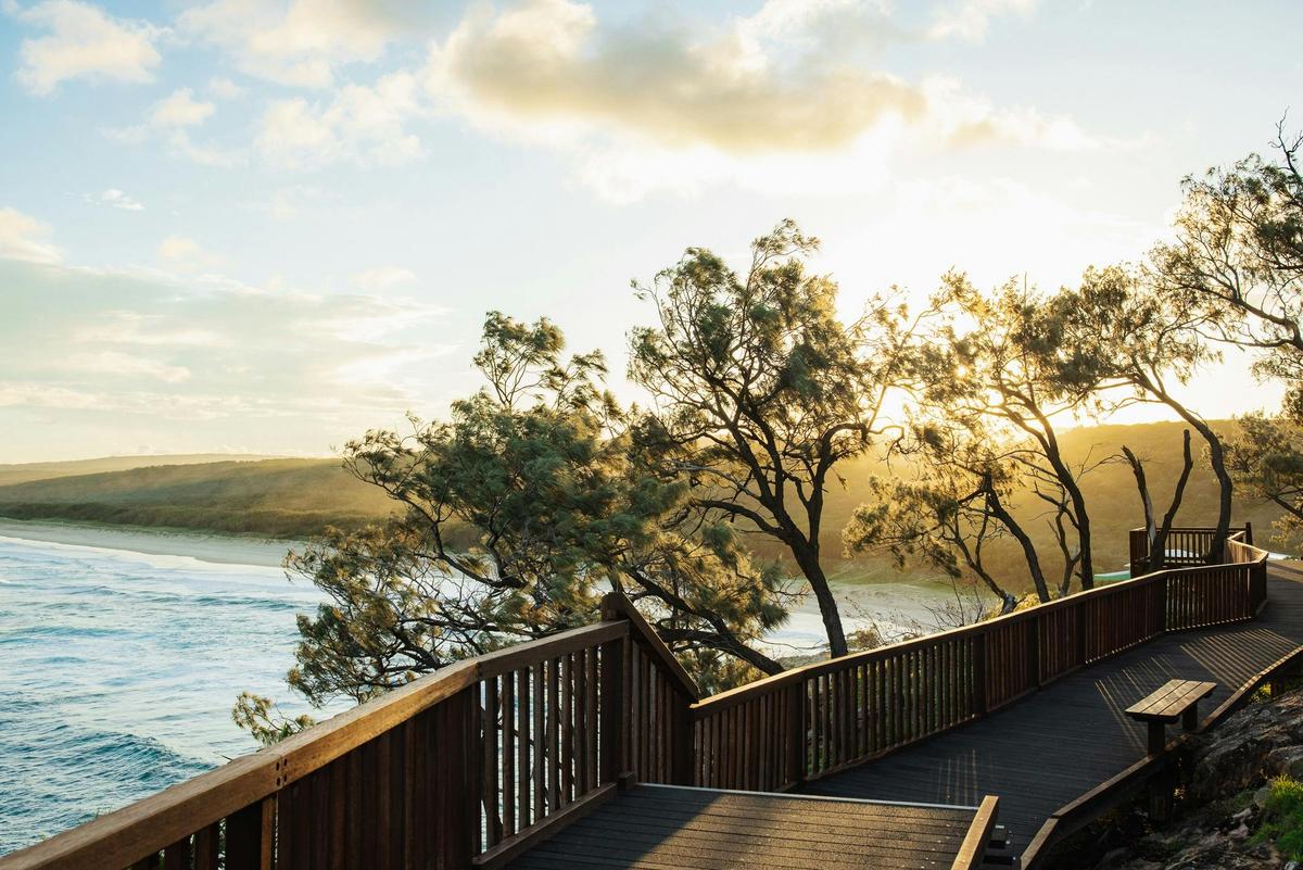 The Cultural Heritage and Art of North Stradbroke Island (Minjerribah) Tour