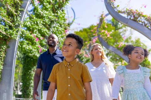 6 Hour Brisbane Private Tour: Lone Pine Koala Sanctuary, Mt. Coot-tha, Queen Street Mall etc.