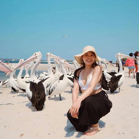 Gold Coast, Surfers Paradise Private Tour - Koala Sanctuary, Delicious seafood, Pies and More!