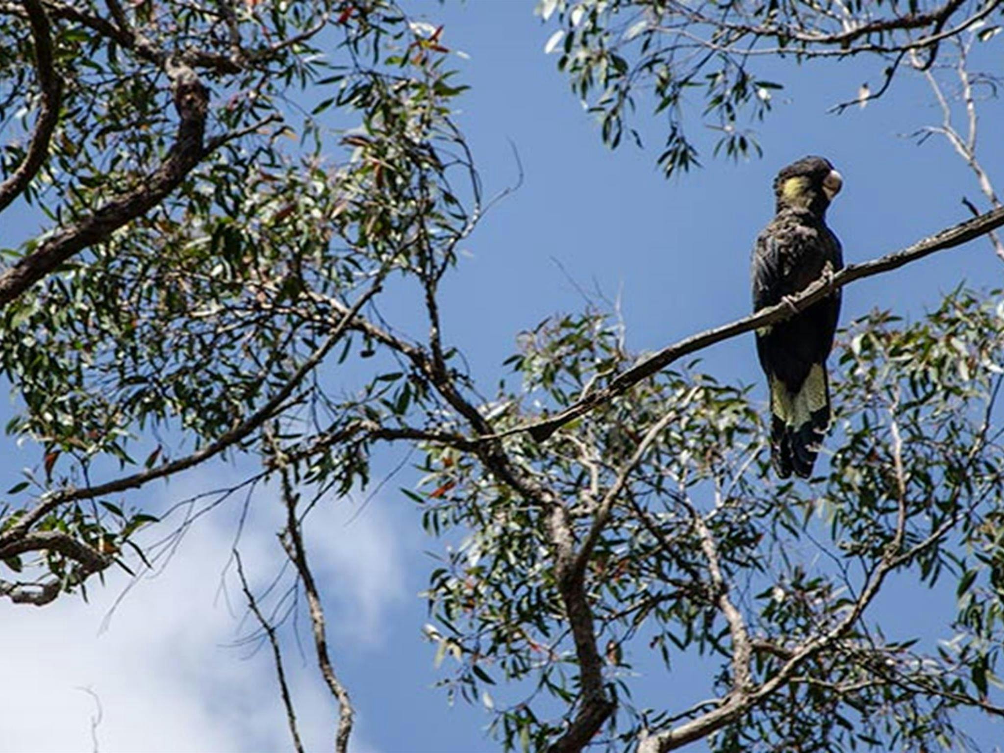 Mummel Gulf National Park. Photo: John Spencer/NSW Government