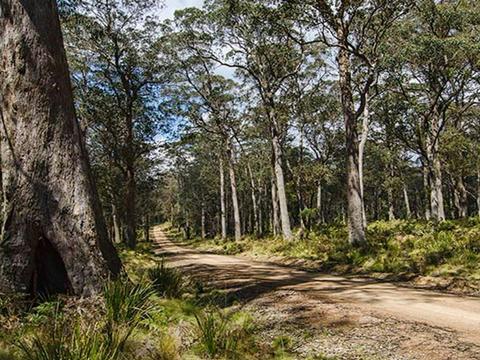 Mummel Gulf National Park