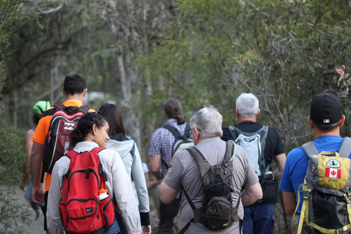 Active and Healthy Nature Walks - Ipswich