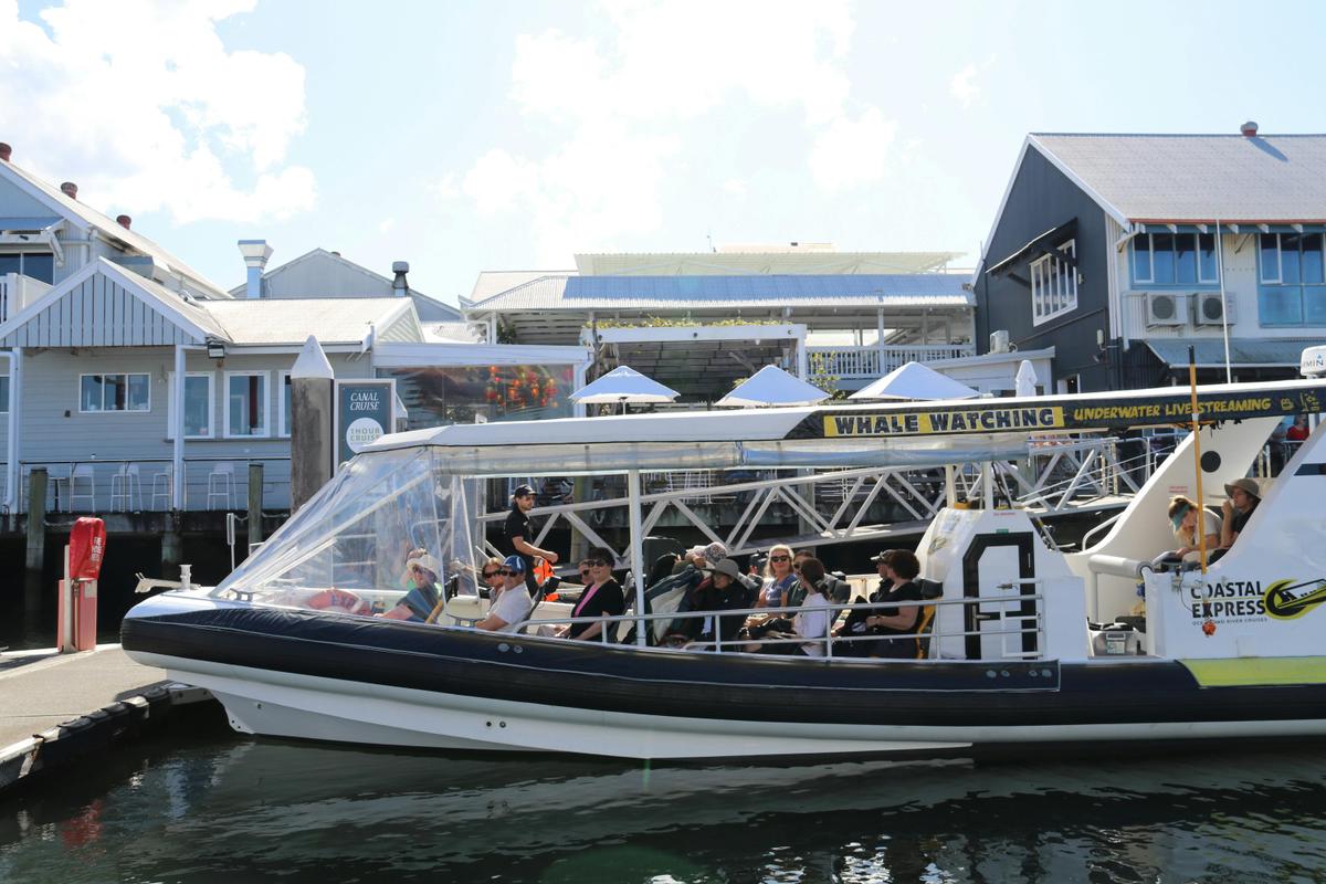 Mooloolaba Turtle Tour