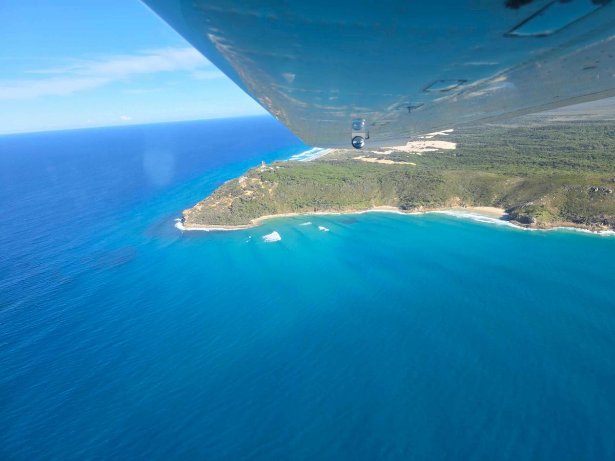 Moreton Island with Whale Watching(seasonal)