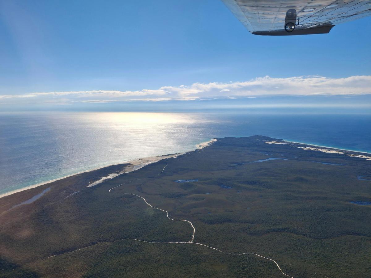 Moreton Island with Whale Watching(seasonal)