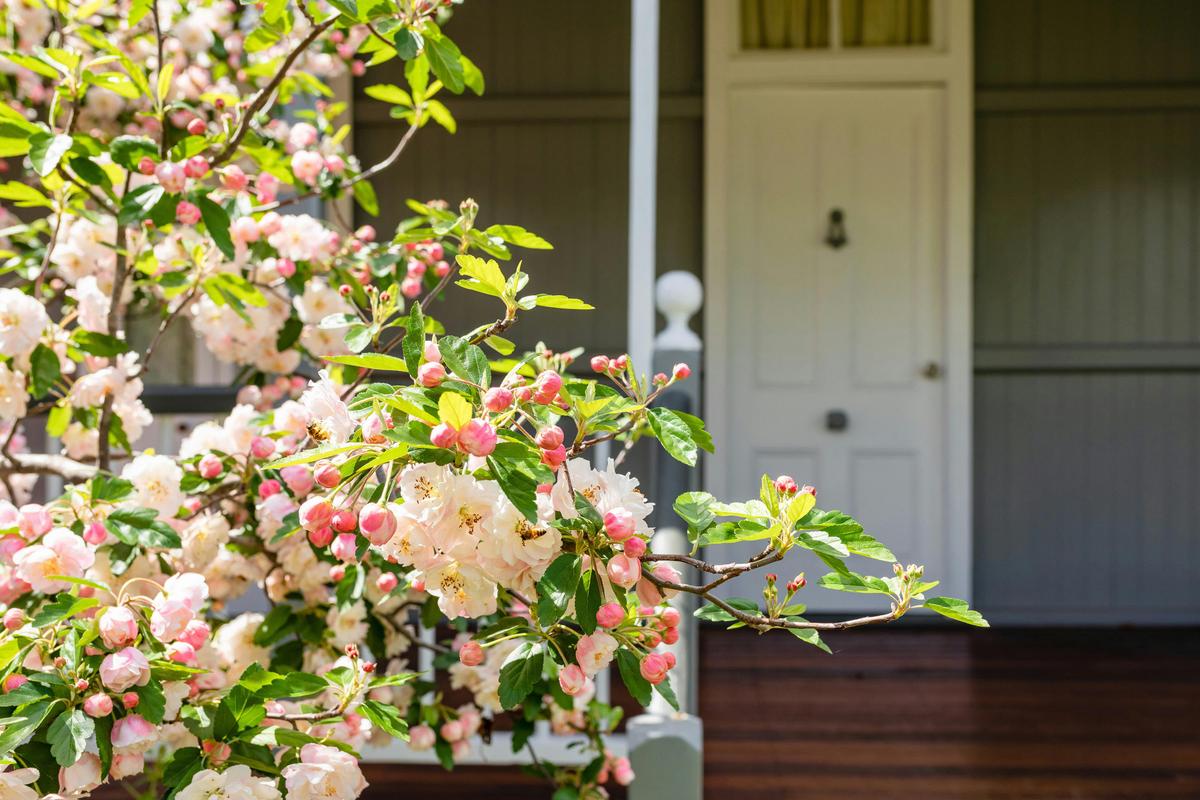 Apple Blossom Cottage Entry