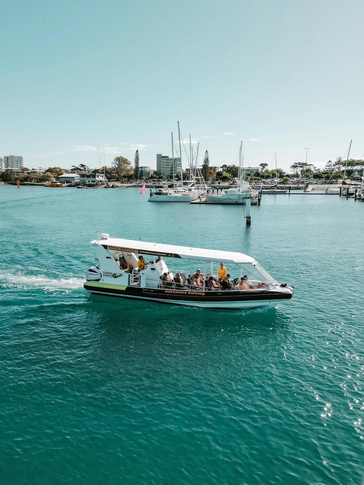 Mooloolaba Whale Watching Experience