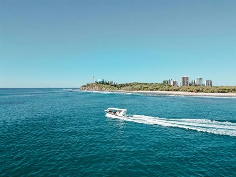 Mooloolaba Turtle Adventure