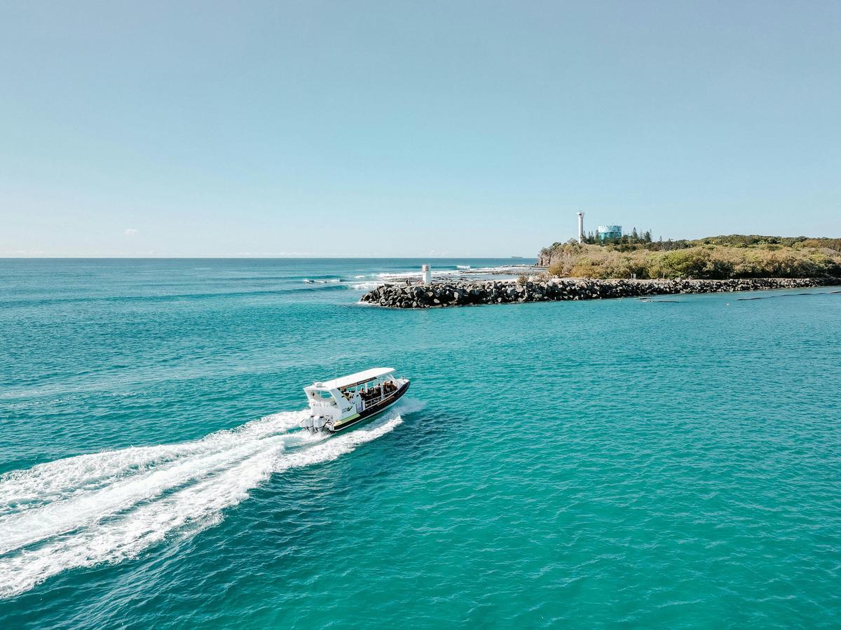Mooloolaba Whale Watching Experience
