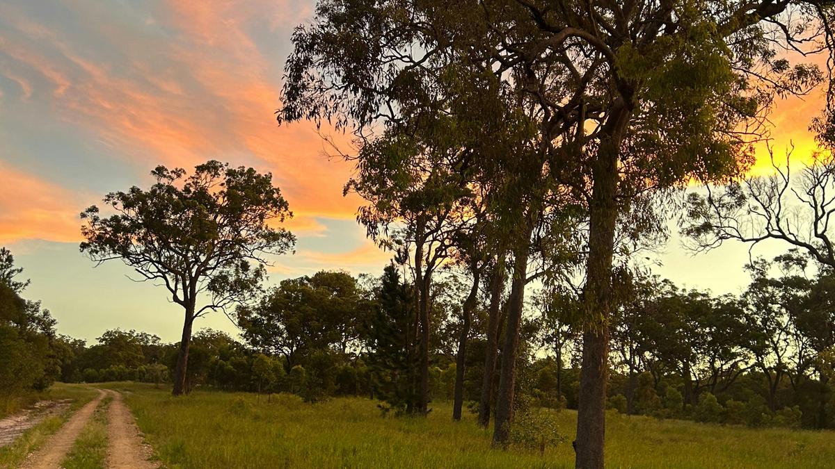 Apple Gum Bush Camp