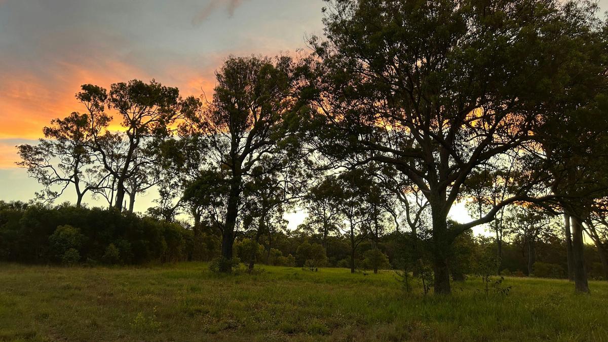 Apple Gum Bush Camp