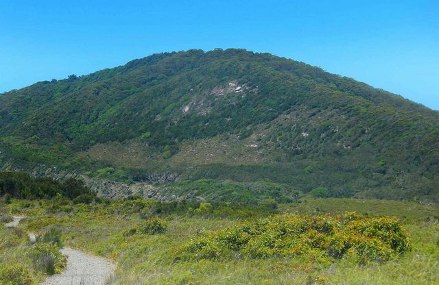 Monument Hill Walking Track
