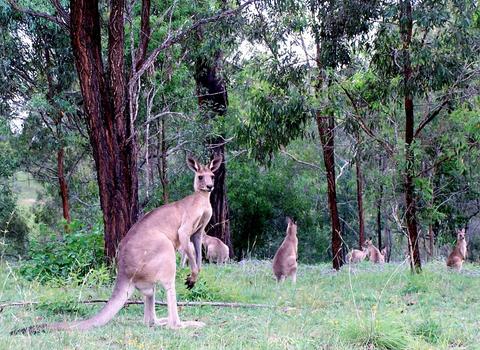 3 Day Wildlife Tour