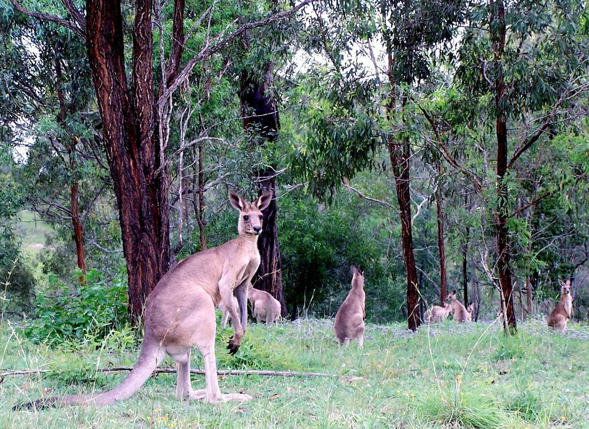3 Day Wildlife Tour