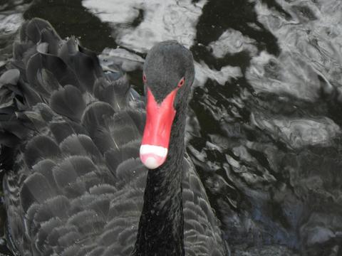 Bird-Watching Day Tour