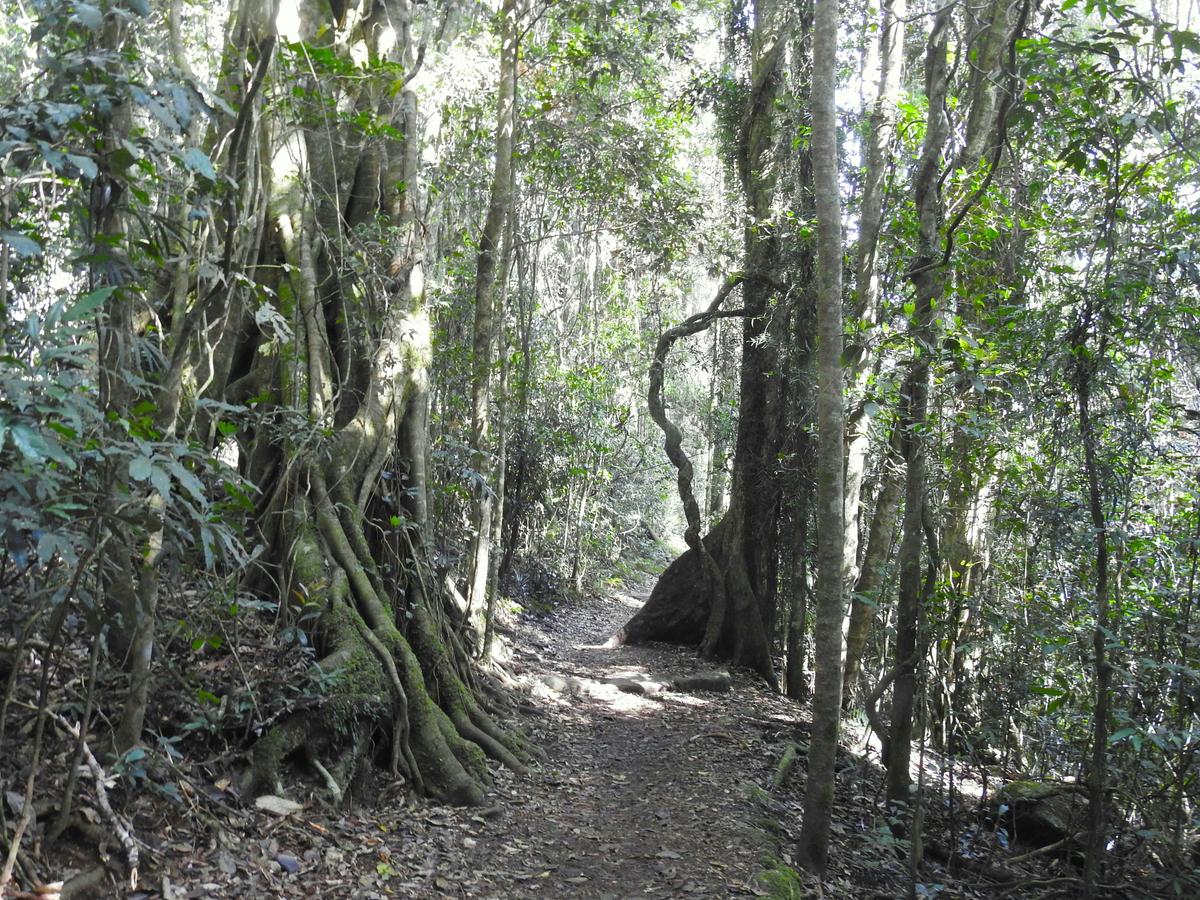 3 Day Wildlife Tour