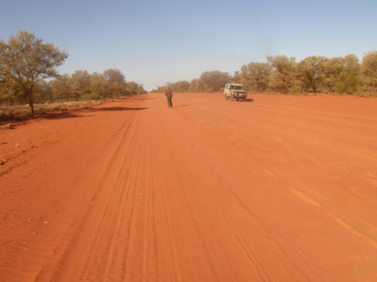Outback Wildlife Tour
