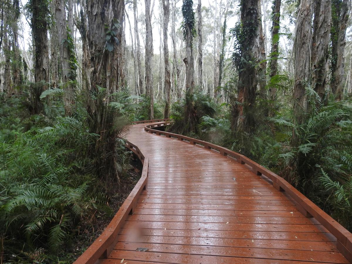 Wildlife and Forests Day Tour