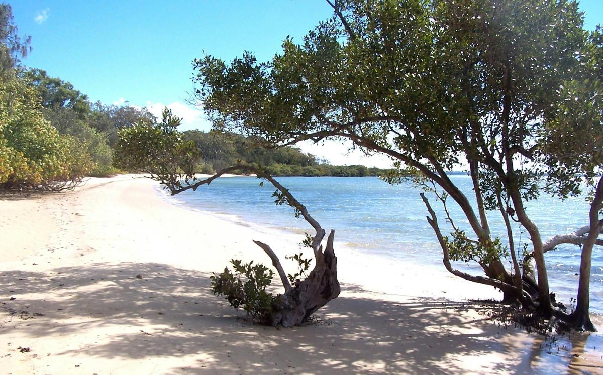 Coochiemudlo Island