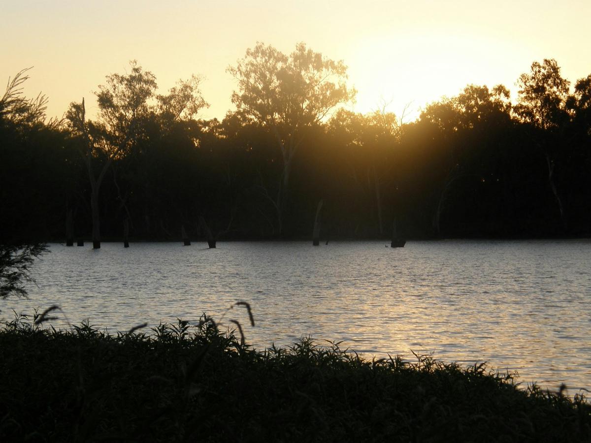Outback Wildlife Tour