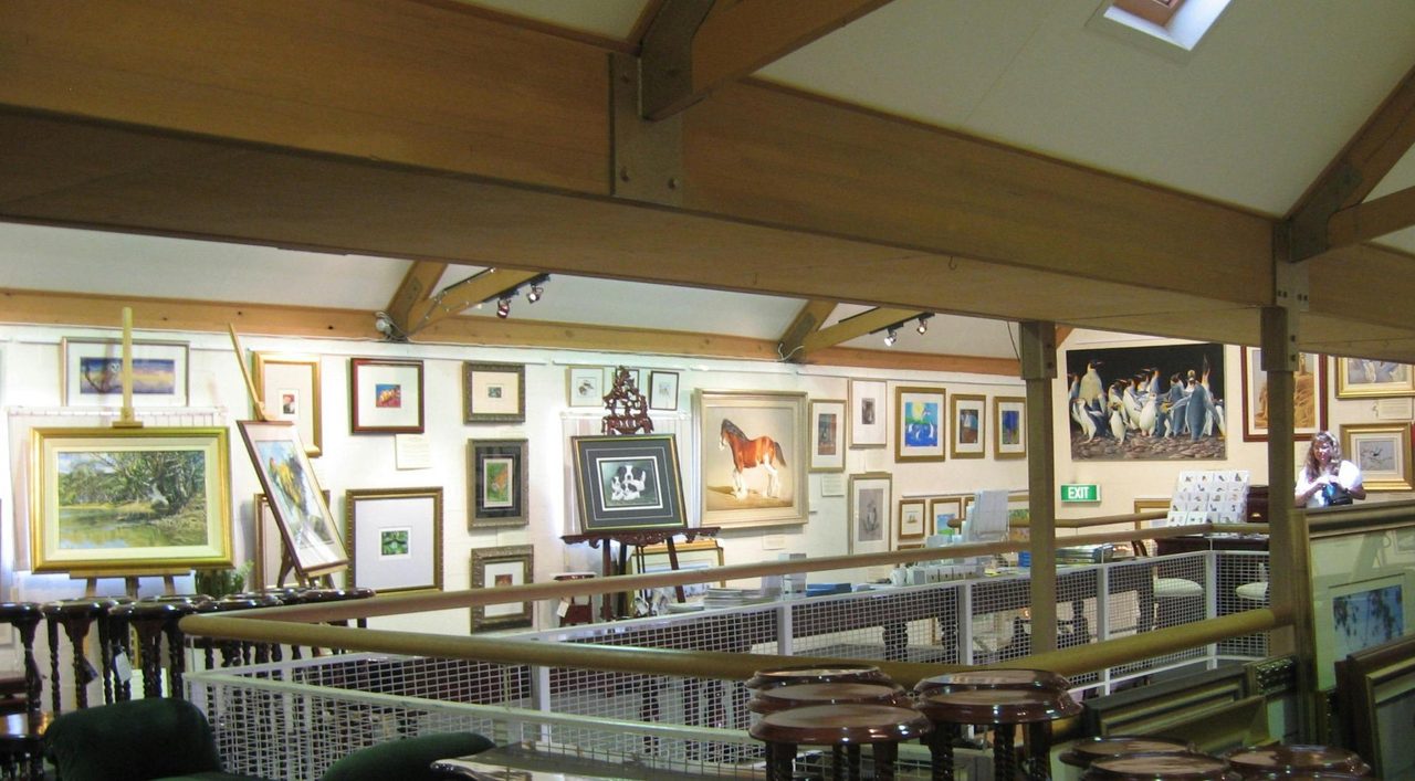 Wildlife Gallery