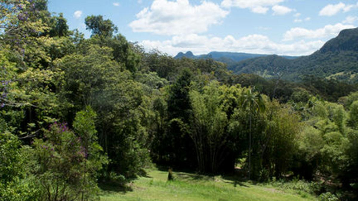 Ananda Rainforest Retreat