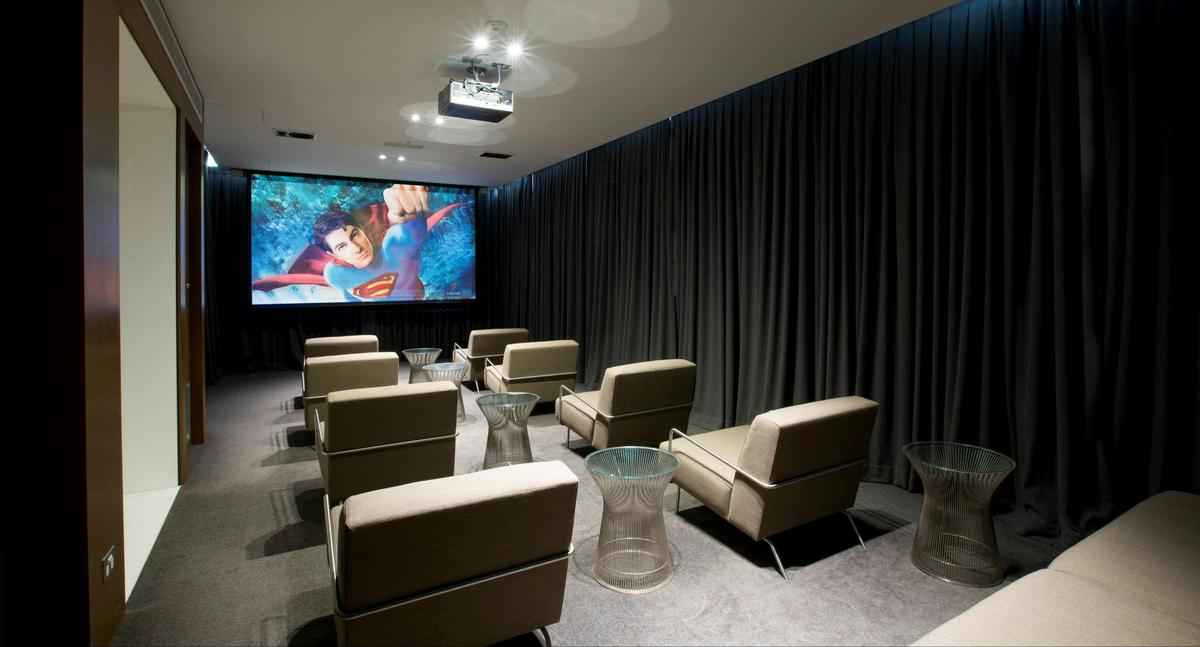 Luxury 12 seat private cinema
