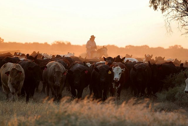 Long Paddock Touring Route