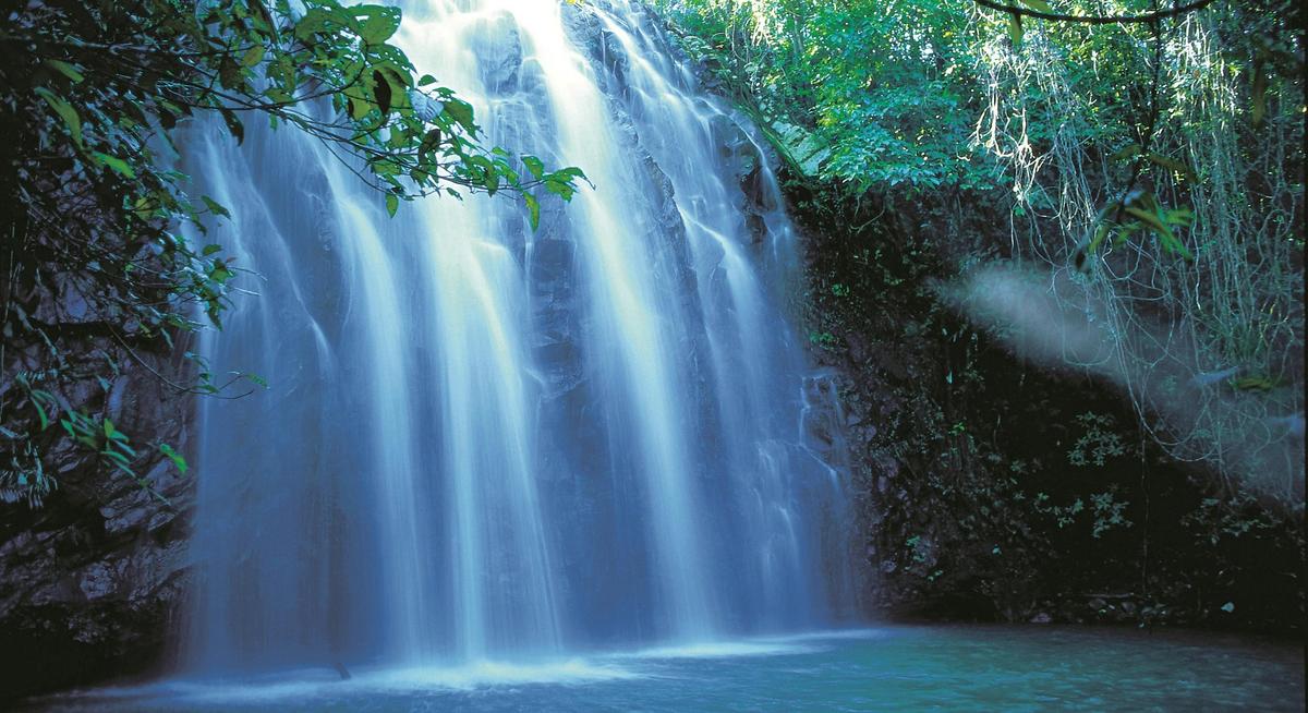Zillie Falls, Atherton Tablelands