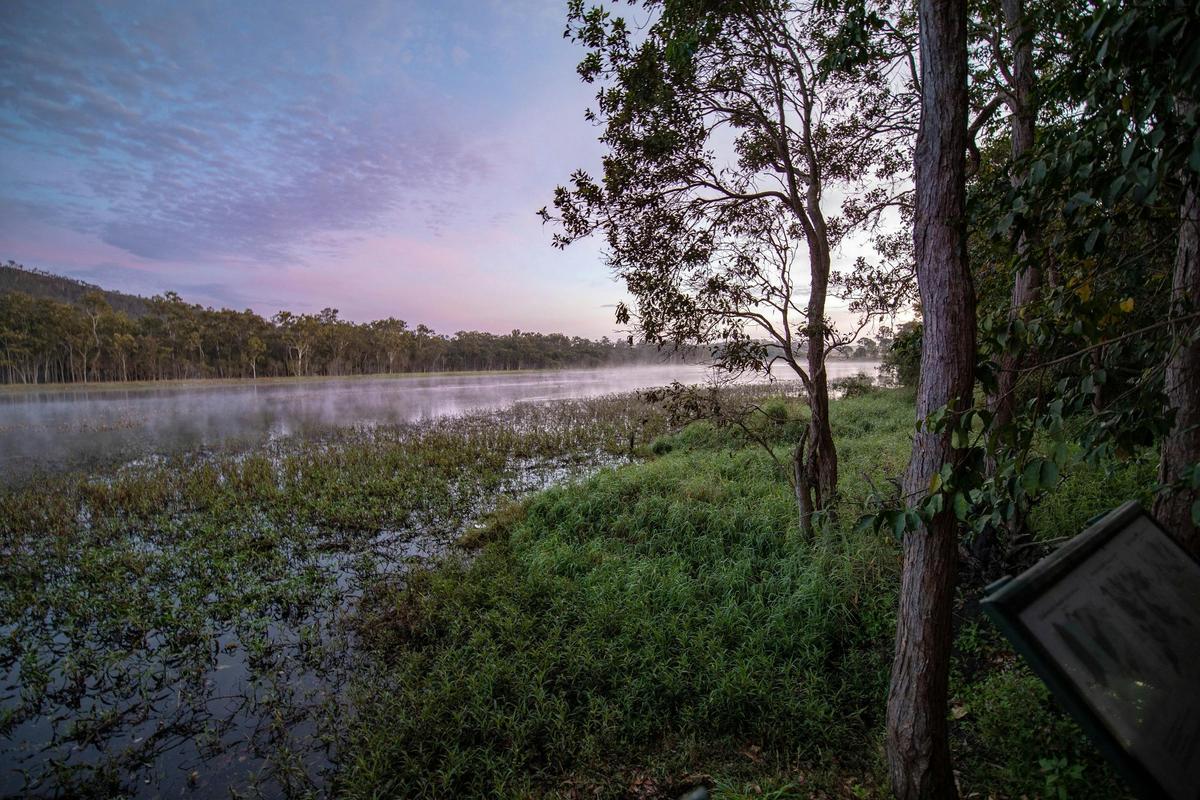 Hasties Swamp, Atherton Tablelands