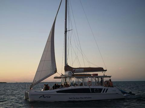 Aria Cruises: Gold Coast Sunset Cruise