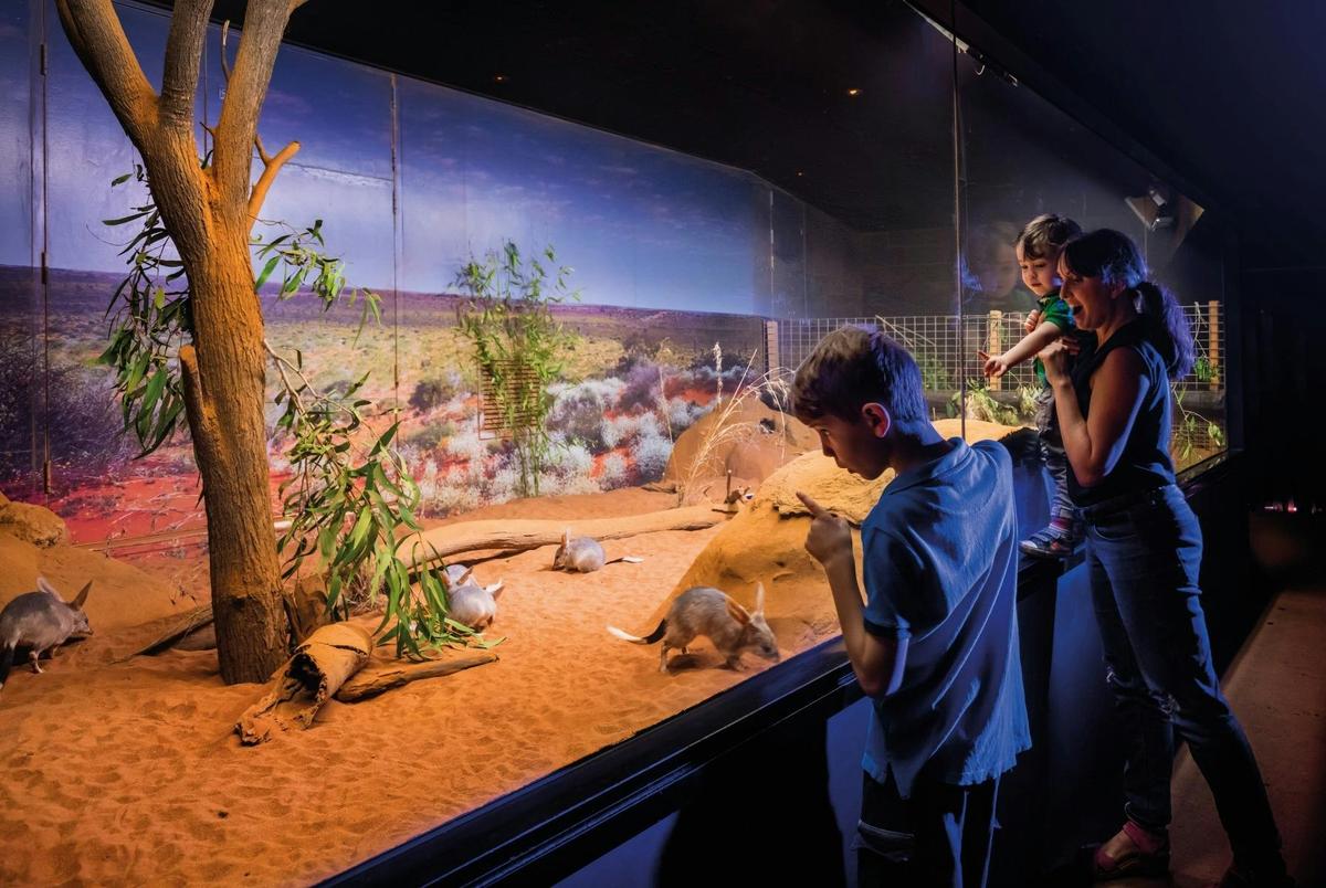 Animal Encounters at Ipswich Nature Centre