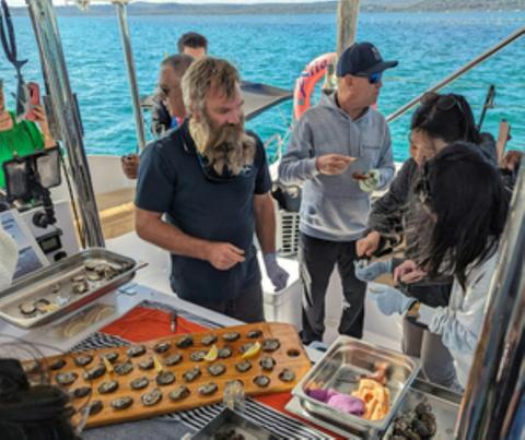 Oyster Farm Tour