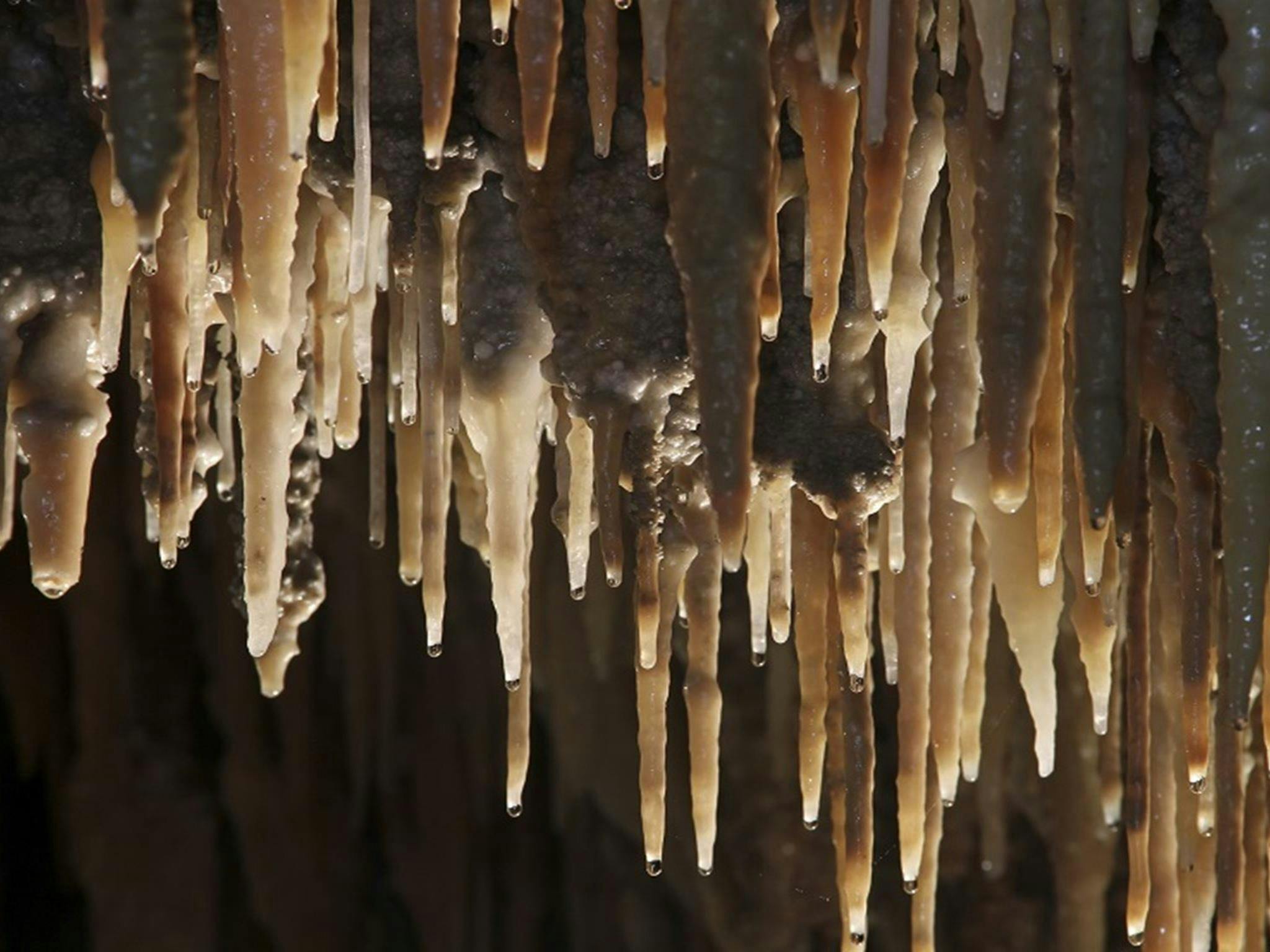 Water dripping from stalactites in Mulwaree Cave. Credit: Stephen Babka/DPE &copy; Stephen Babka