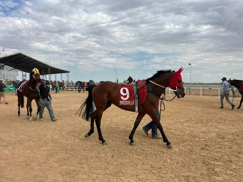 Lake Eyre & the Birdsville Races (3 days)