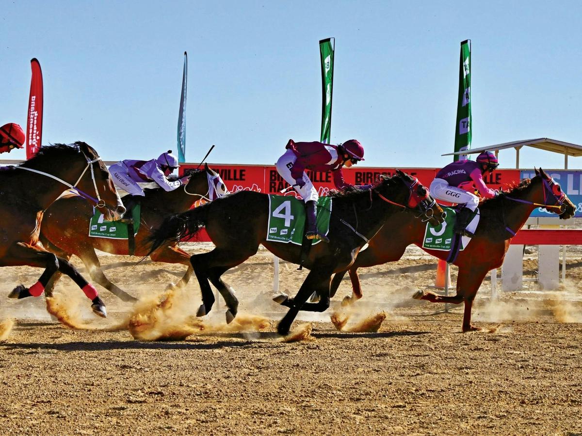 Lake Eyre & the Birdsville Races (3 days)