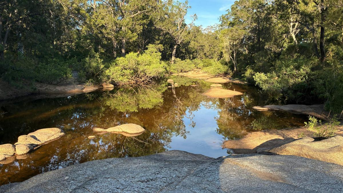 Archerview Farmstay-Wild River Camp