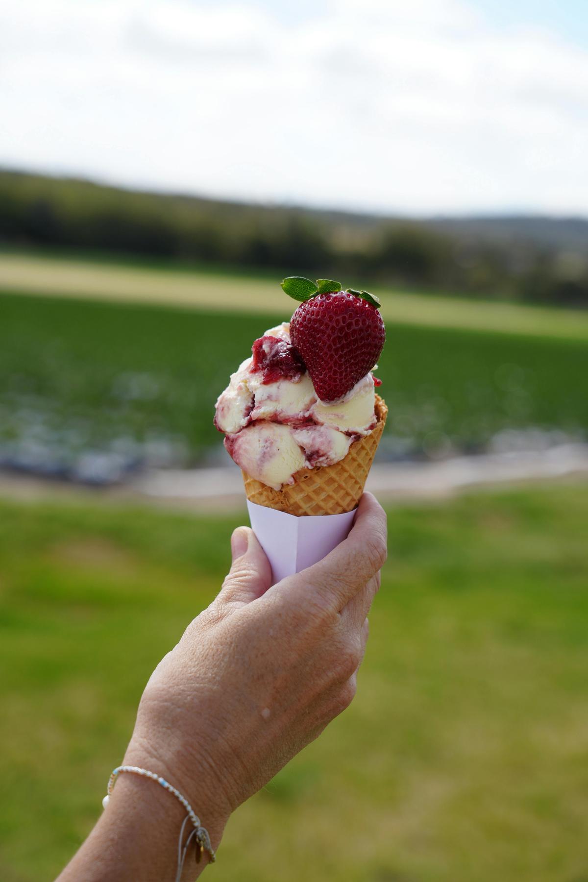 Ashbern Farms strawberry ice cream