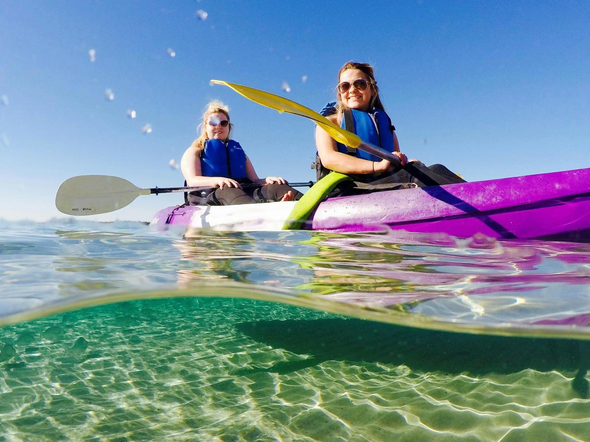 Morning  Dolphin Kayaking and Snorkeling Tour
