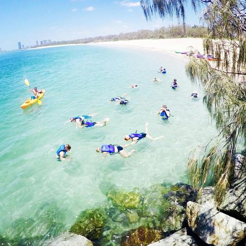 Morning Dolphin Kayaking and Snorkeling Tour