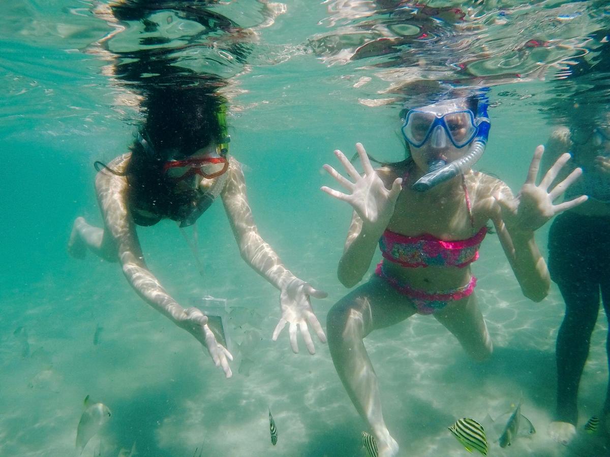 Broadwater Dolphin Kayaking & Snorkeling Tour