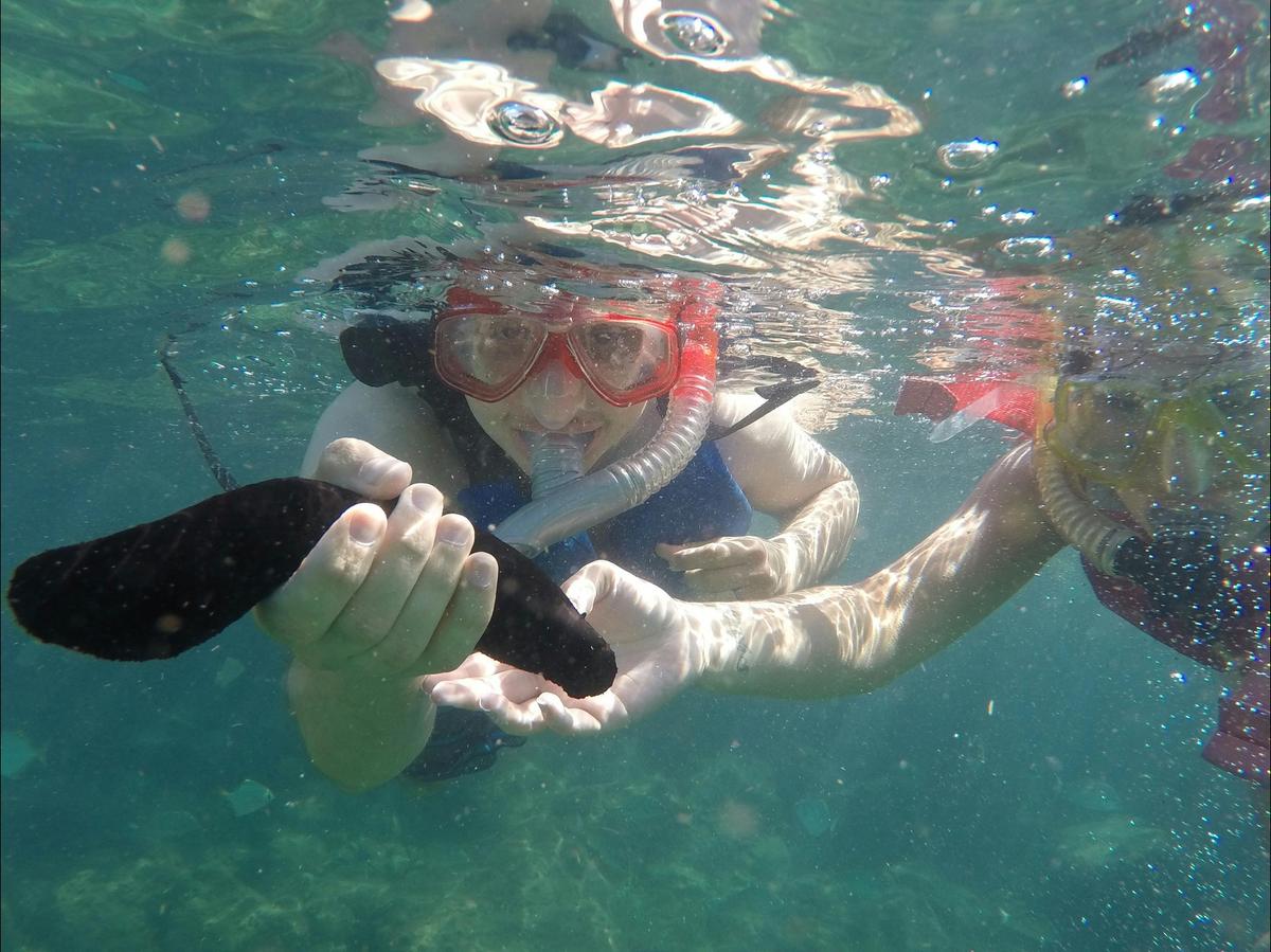 Halfday Dolphin and Stradbroke Island Tour