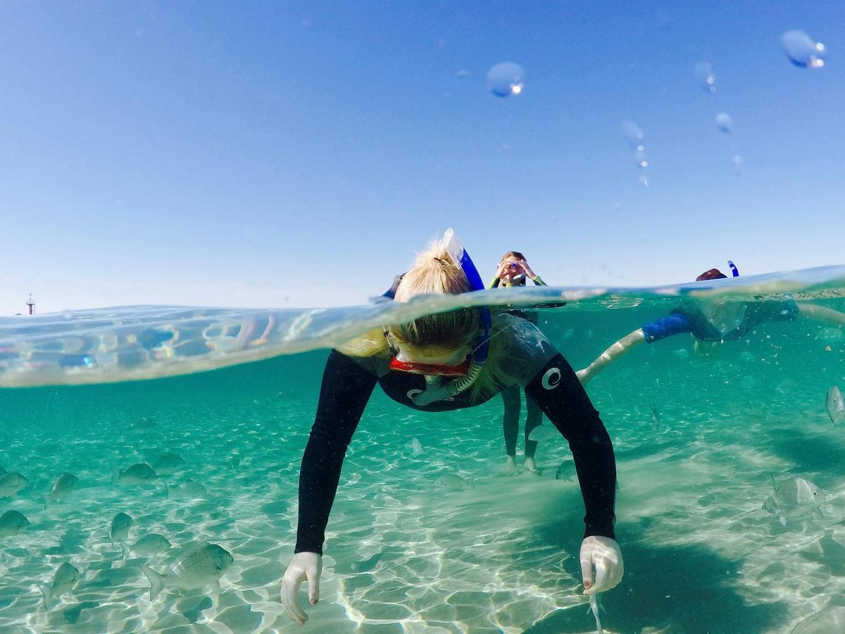 Broadwater Dolphin Kayaking & Snorkeling Tour